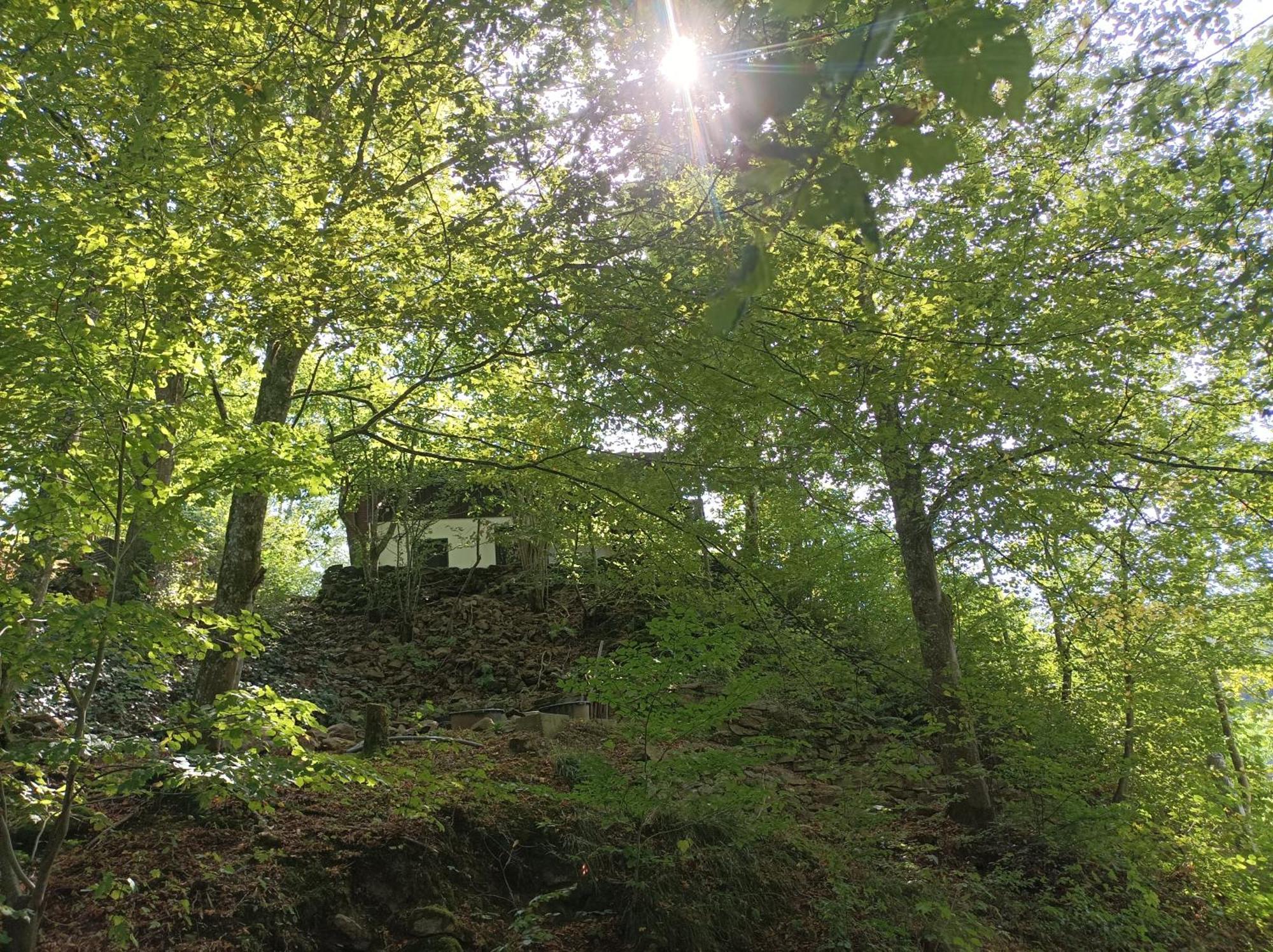 Burgberg Schoellnstein Iggensbach Exteriör bild